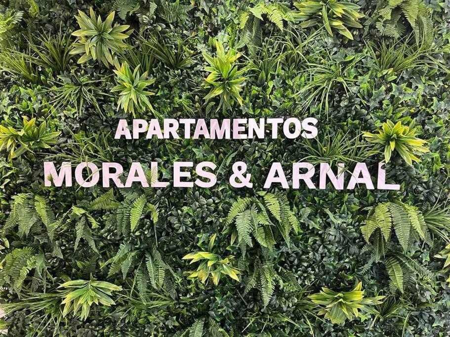 XVIII B Suite Apartamentos Morales & Arnal Ronda Zewnętrze zdjęcie
